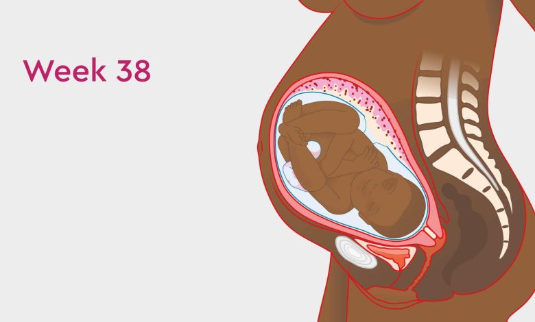 علائم و نشانه های مادر در هفته سی و هشتم بارداری
