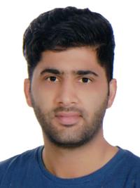 مجتبی کیانی ده کیانی